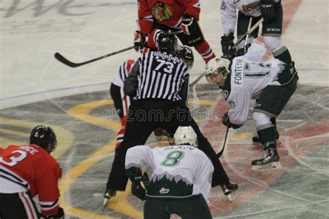 Portland Winterhawks at Everett Silvertips, Game 7: Preview, .